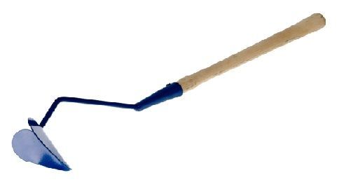 Бороздовичек малый с черенком (упак.5шт.)