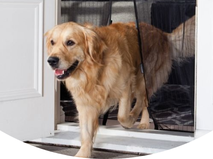 Сетка на магнитах