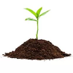 Удобрения, грунты