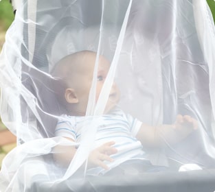 Картинка 4 'Сетка москитная'