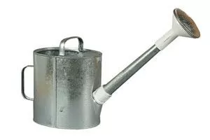 Лейка 10л оцинкованная с рассеивателем (Омутнинск) (упак.4шт.)