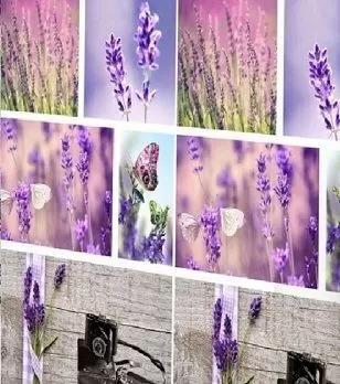 Штора для ванной полиэтиленовая фиолетовая 8, "Релакс", 180*180